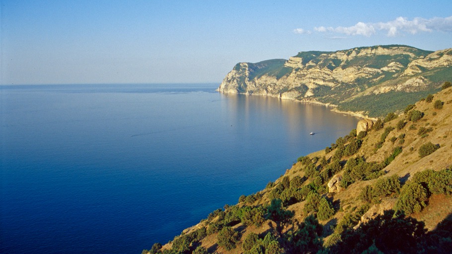 Blue Paw Artists/ NDR Naturfilm