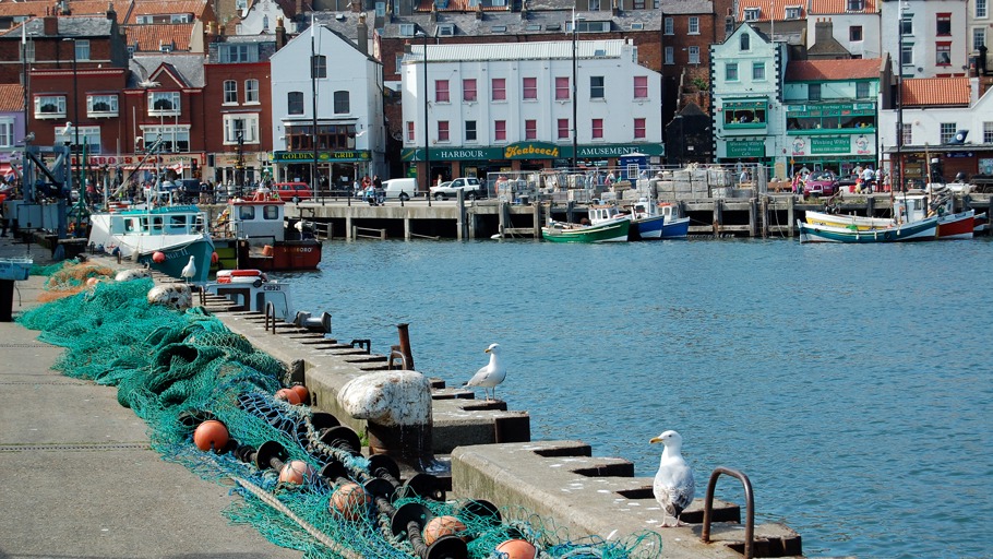 Florian Graner/ NDR Naturfilm