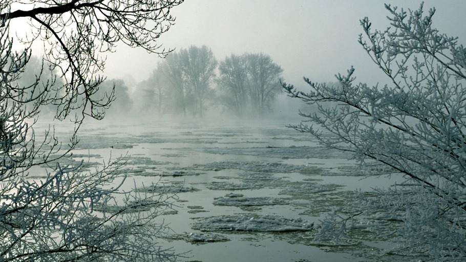 Schöne Elbe, grausame Elbe