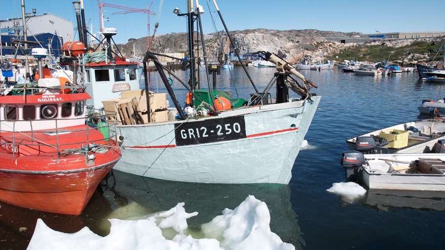 Daniel Opitz, Ocean Mind