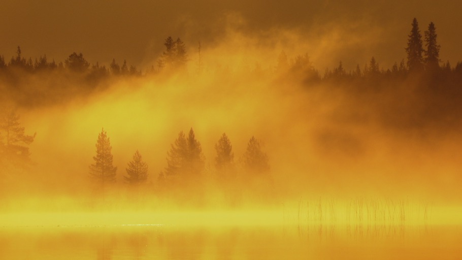 Wildes Skandinavien (3)