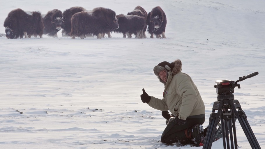 Wildes Skandinavien (7)
