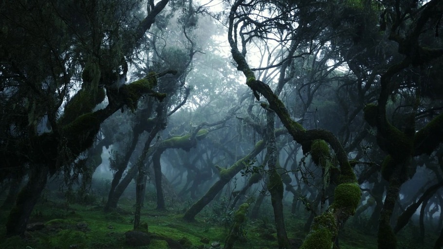 Precious Earth: Wälder