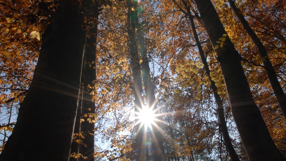 Nautilusfilm/ NDR Naturfilm, Doclights GmbH