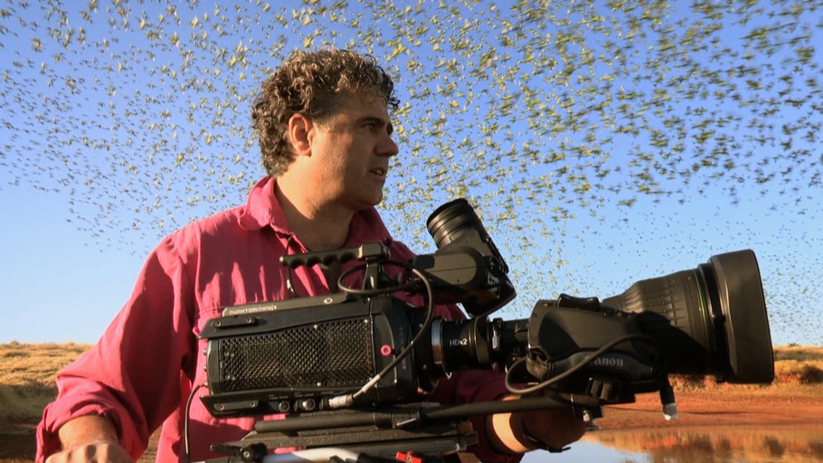 Jens Westphalen, Thoralf Grospitz/ NDR Naturfilm, Doclights GmbH