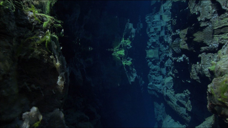 Florian Graner/ NDR Naturfilm, Doclights GmbH