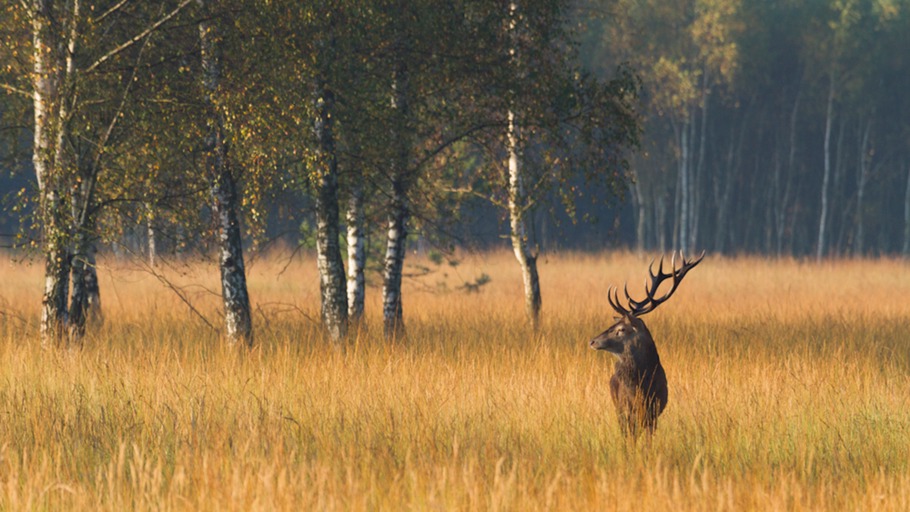 Unbekanntes Deutschland