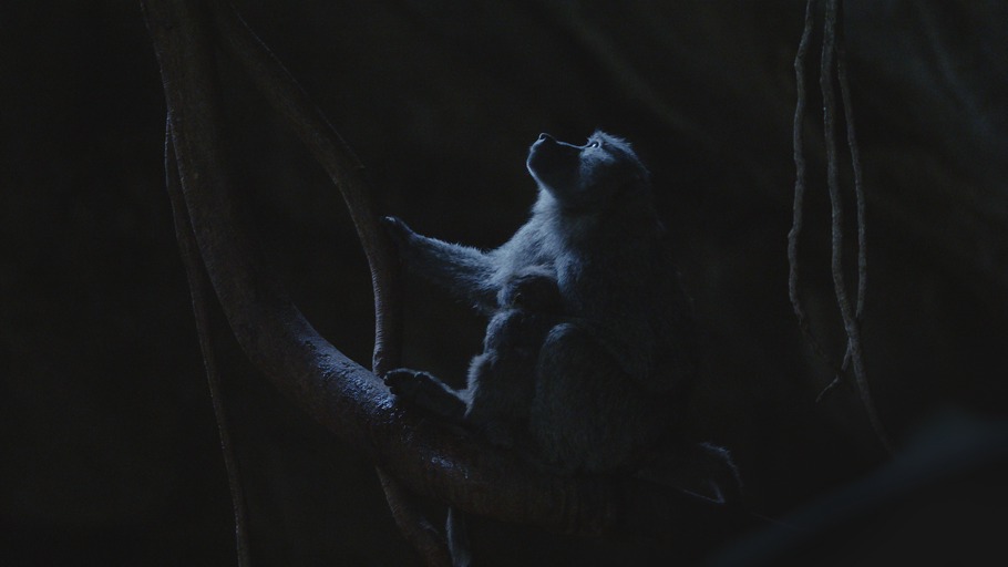 Verrückte Natur - Im Schattenreich