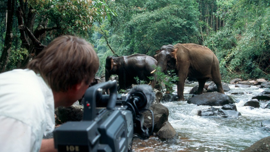 Vietnams letzte Nashörner