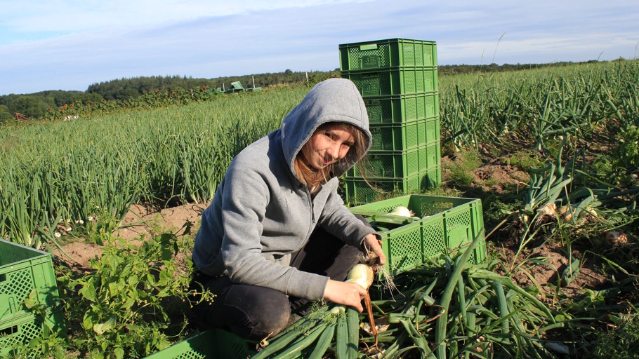 Inas Sommer: Folge 07