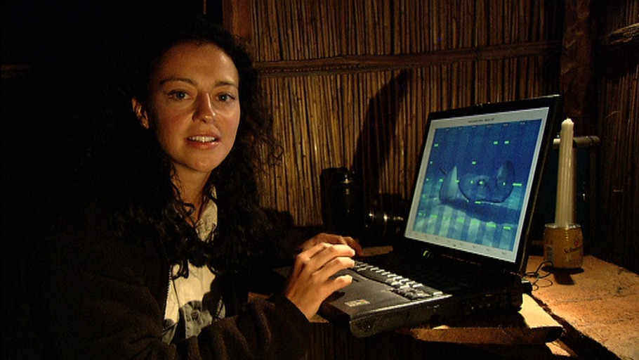 Blue Planet Film/ NDR Naturfilm